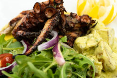 Octopus Salad